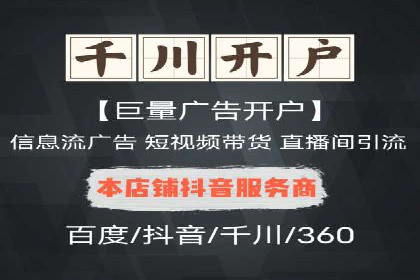 网络推广与竞价策略实战案例